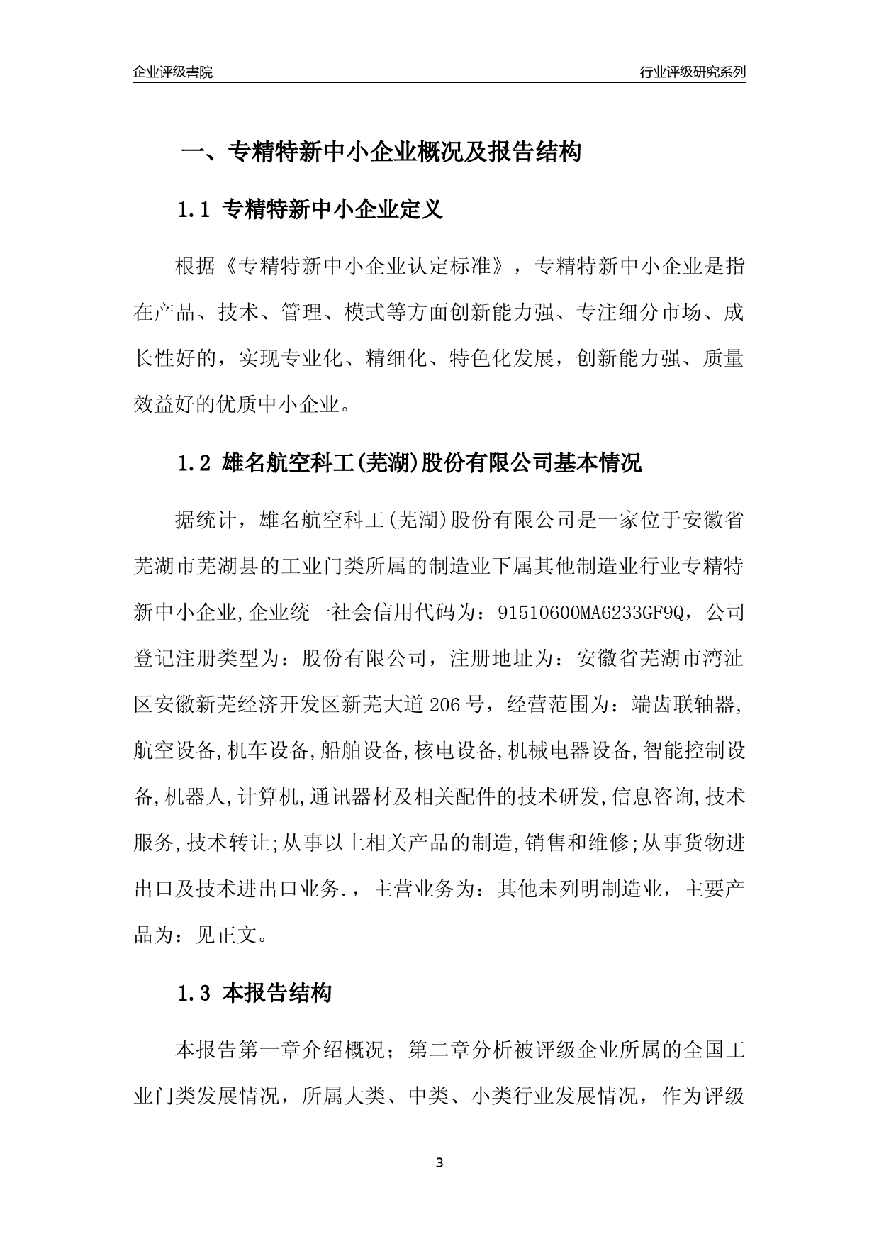 [专精特新]2022年雄名航空科工(芜湖)股份有限公司行业竞争力评级分析报告(2023版)_第3页