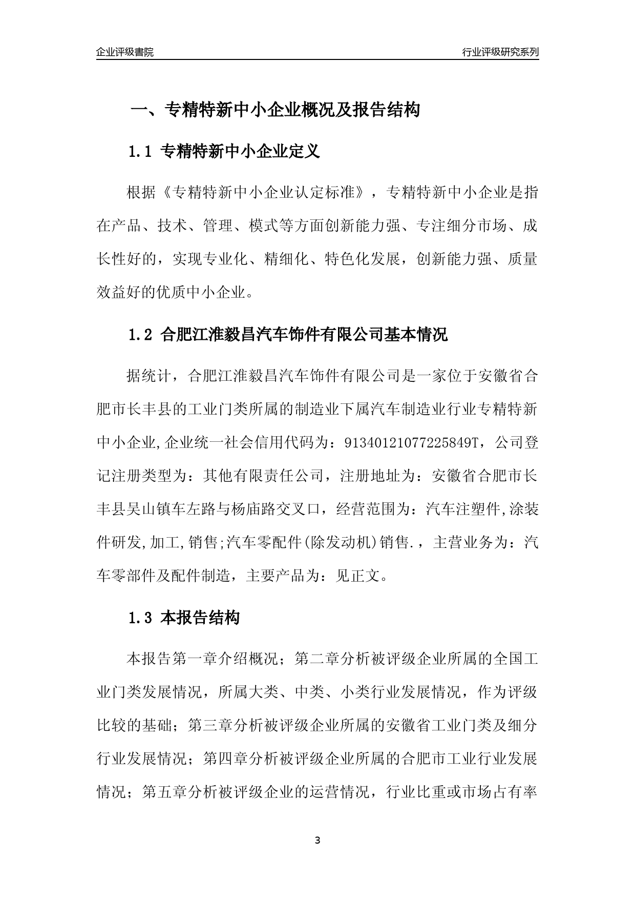 [专精特新]2022年合肥江淮毅昌汽车饰件有限公司行业竞争力评级分析报告(2023版)_第3页