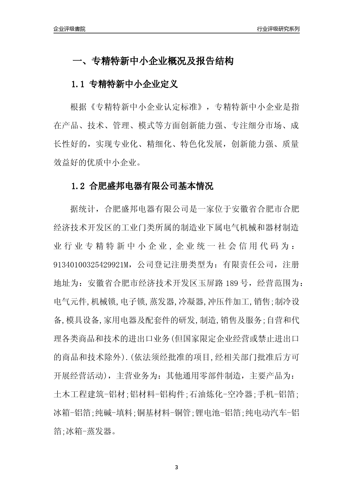 [专精特新]2022年合肥盛邦电器有限公司行业竞争力评级分析报告(2023版)_第3页