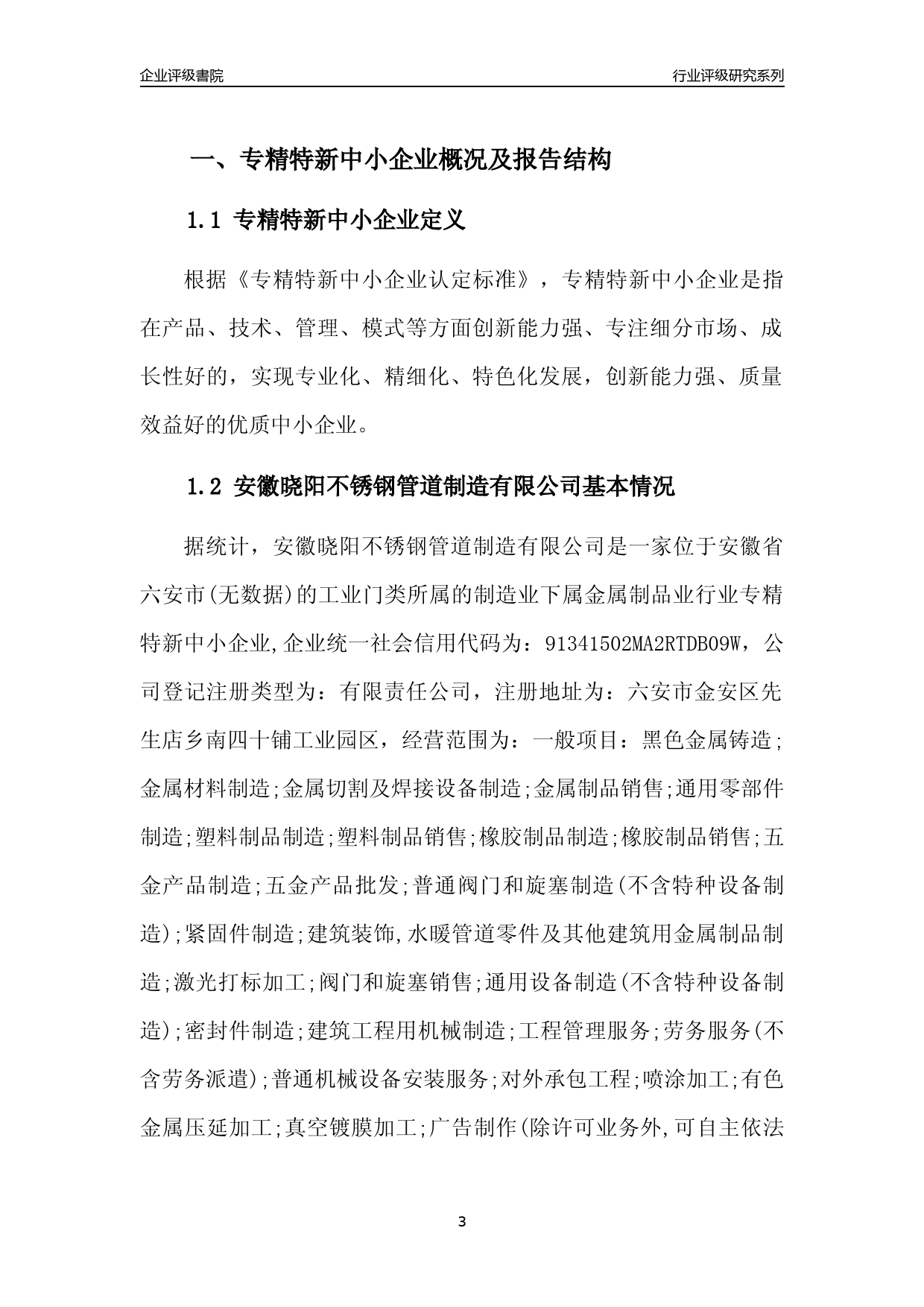 [专精特新]2022年安徽晓阳不锈钢管道制造有限公司行业竞争力评级分析报告(2023版)_第3页