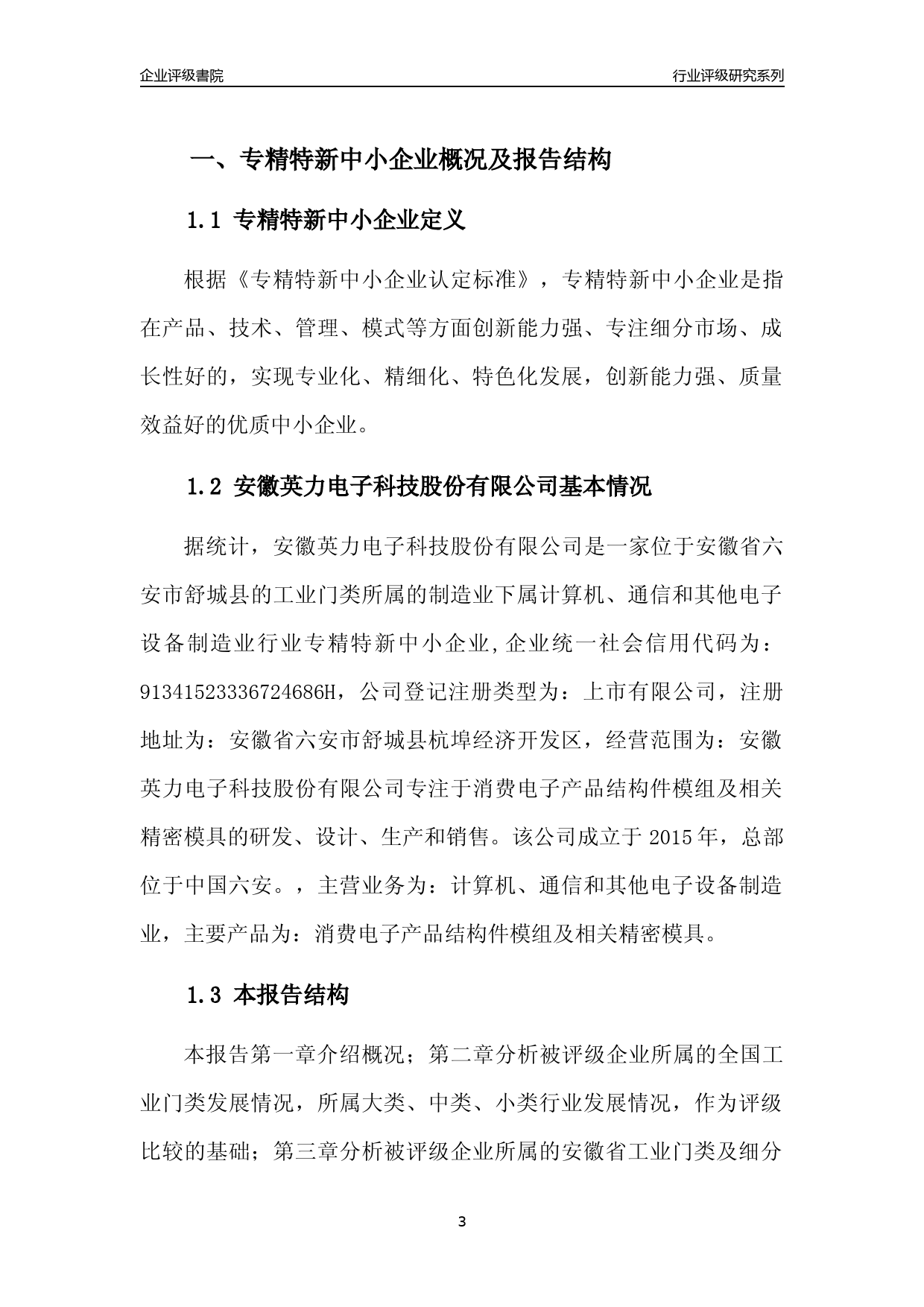 [专精特新]2022年安徽英力电子科技股份有限公司行业竞争力评级分析报告(2023版)_第3页