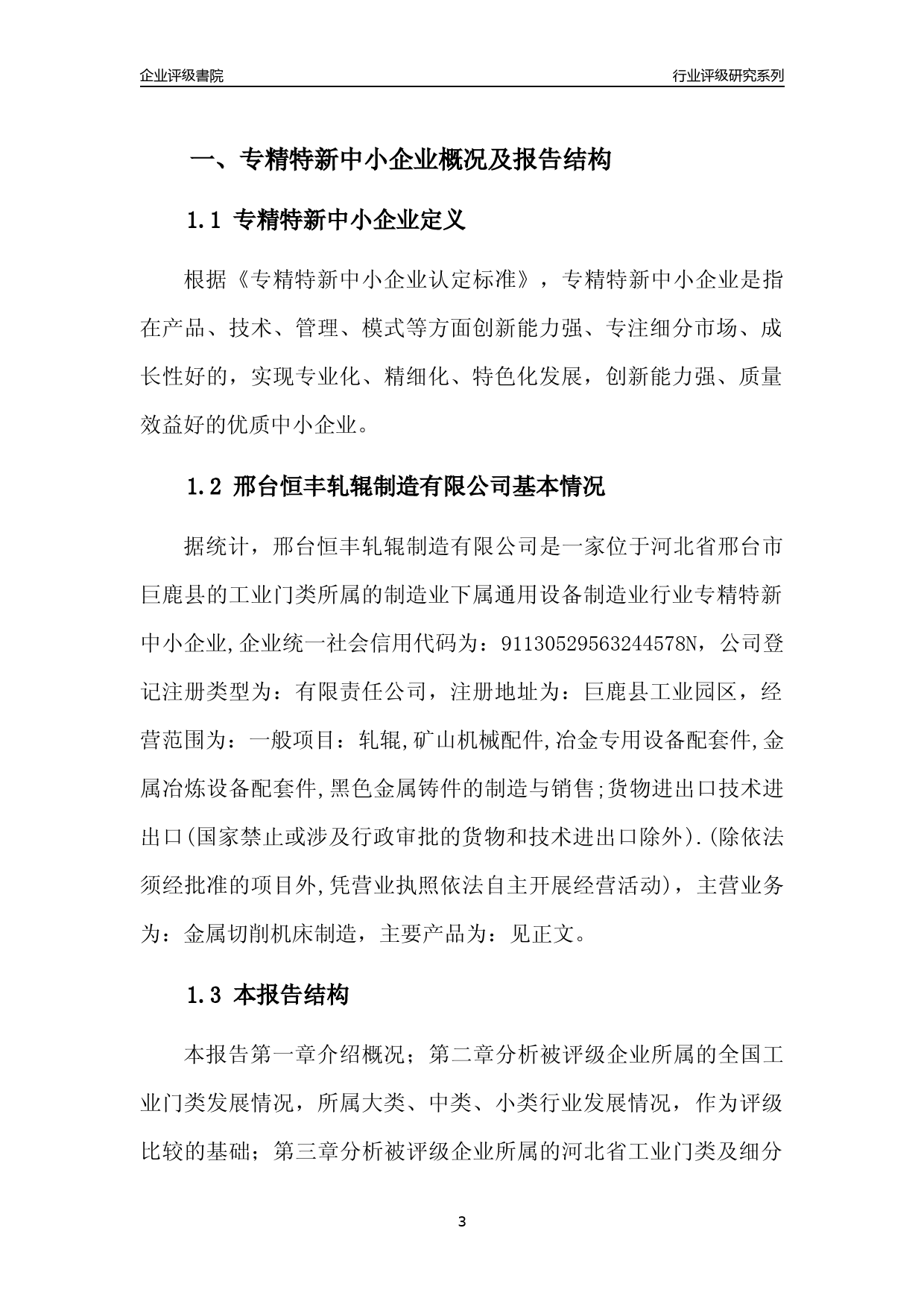 [专精特新]2022年邢台恒丰轧辊制造有限公司行业竞争力评级分析报告(2023版)_第3页