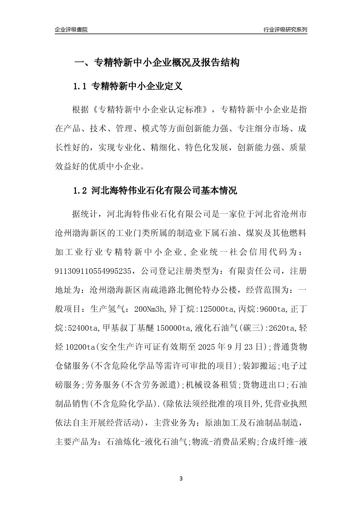 [专精特新]2022年河北海特伟业石化有限公司行业竞争力评级分析报告(2023版)_第3页
