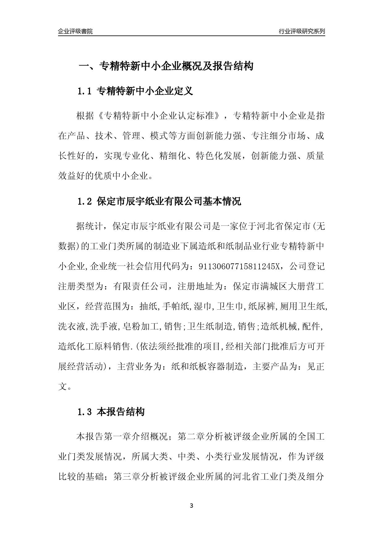 [专精特新]2022年保定市辰宇纸业有限公司行业竞争力评级分析报告(2023版)_第3页