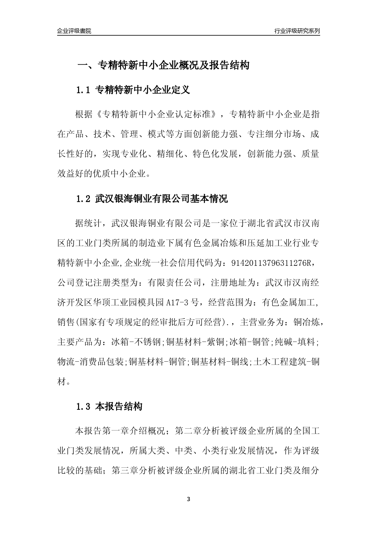 [专精特新]2022年武汉银海铜业有限公司行业竞争力评级分析报告(2023版)_第3页