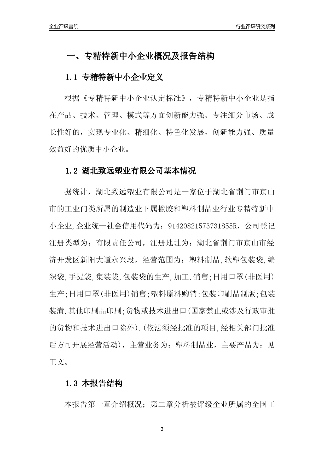 [专精特新]2022年湖北致远塑业有限公司行业竞争力评级分析报告(2023版)_第3页