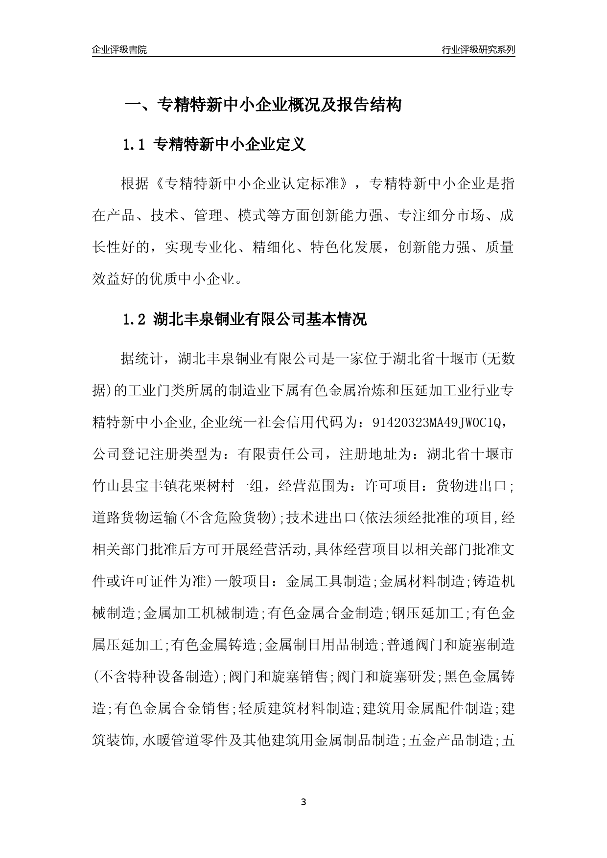 [专精特新]2022年湖北丰泉铜业有限公司行业竞争力评级分析报告(2023版)_第3页