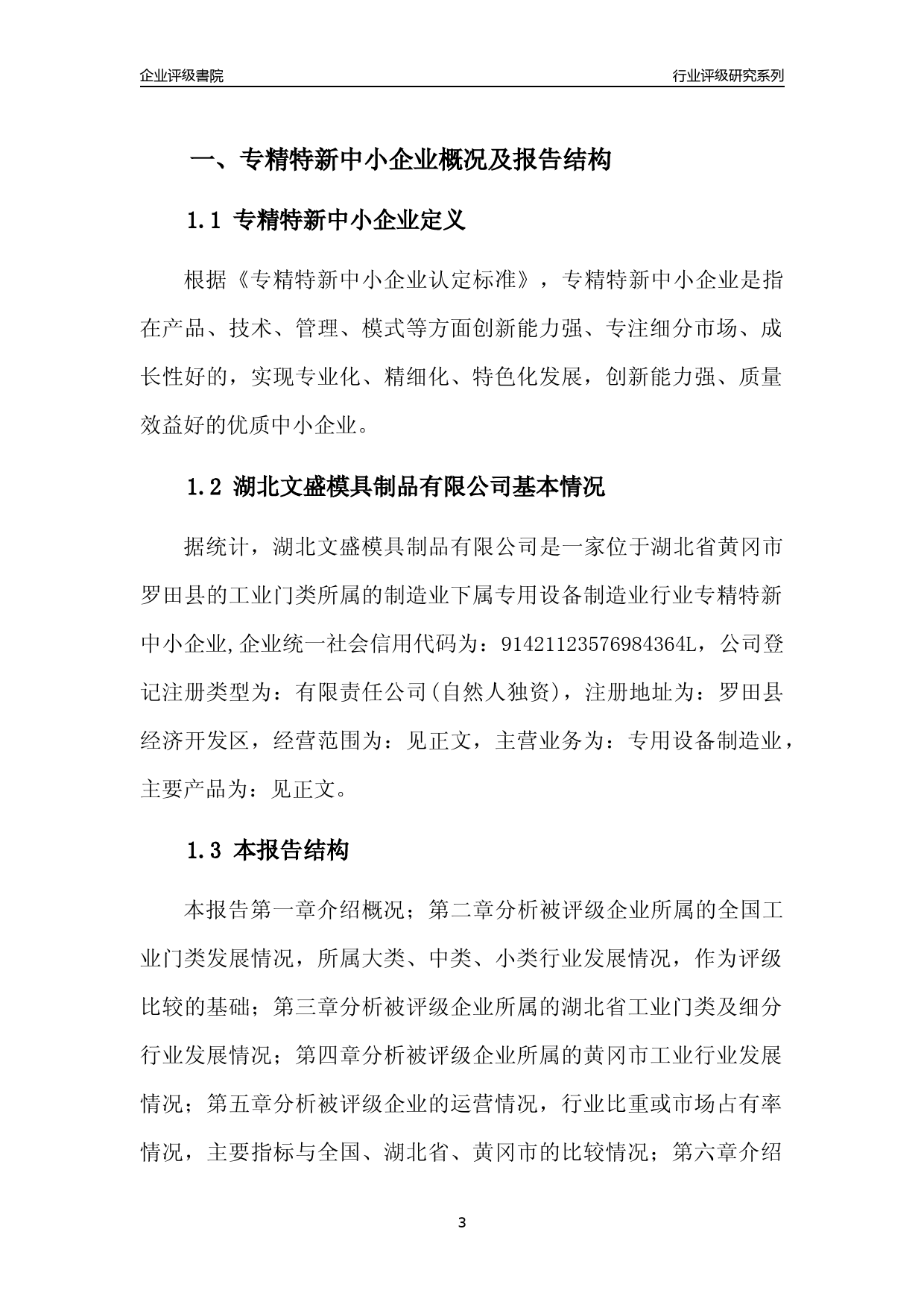 [专精特新]2022年湖北文盛模具制品有限公司行业竞争力评级分析报告(2023版)_第3页