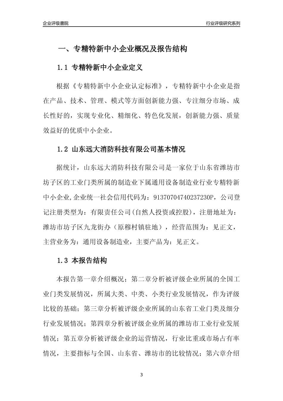 [专精特新]2022年山东远大消防科技有限公司行业竞争力评级分析报告(2023版).docx_第3页