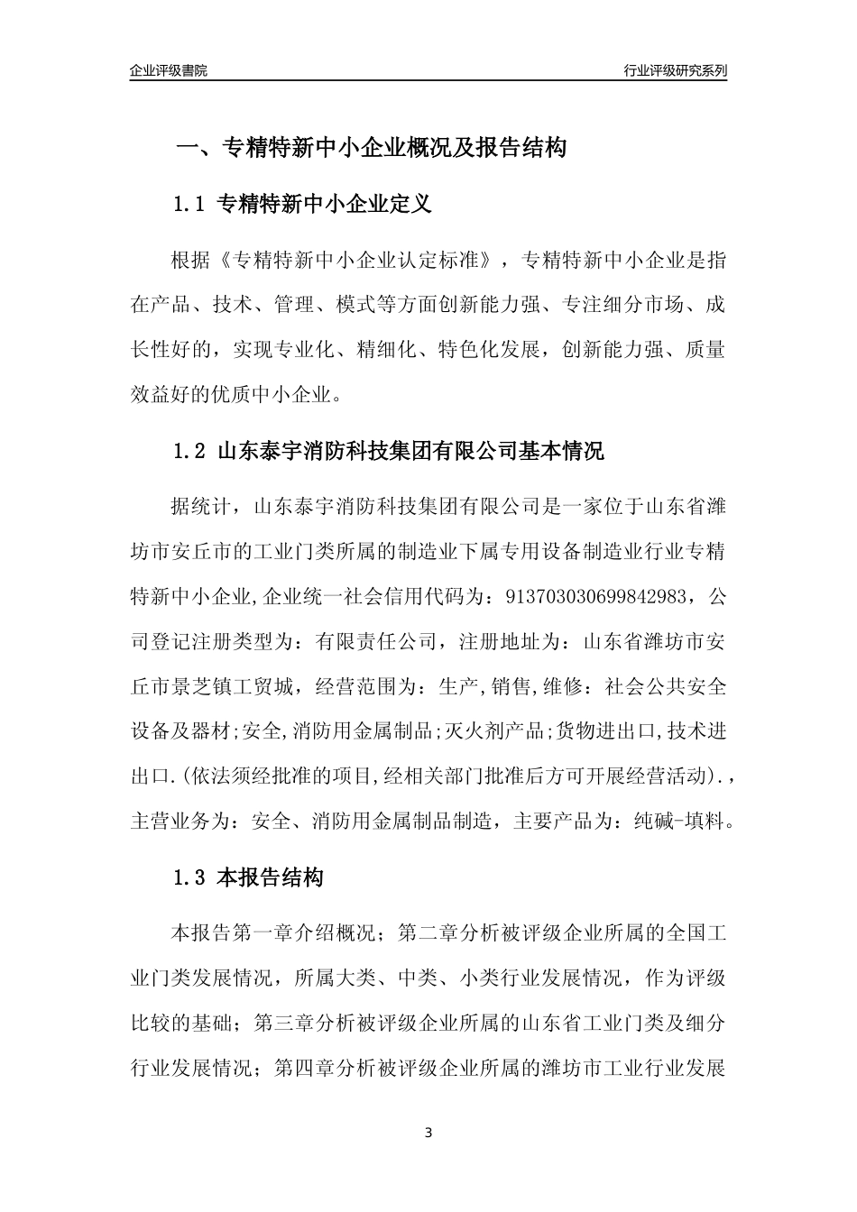 [专精特新]2022年山东泰宇消防科技集团有限公司行业竞争力评级分析报告(2023版).docx_第3页