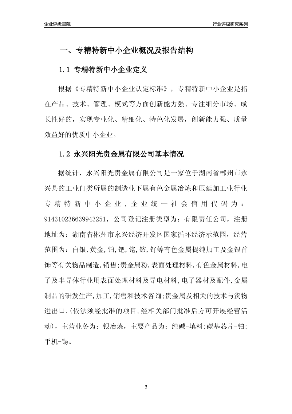 [专精特新]2022年永兴阳光贵金属有限公司行业竞争力评级分析报告(2023版)_第3页