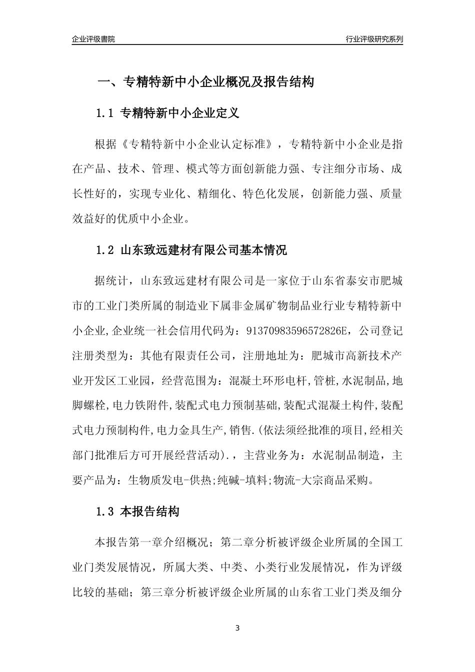 [专精特新]2022年山东致远建材有限公司行业竞争力评级分析报告(2023版)_第3页