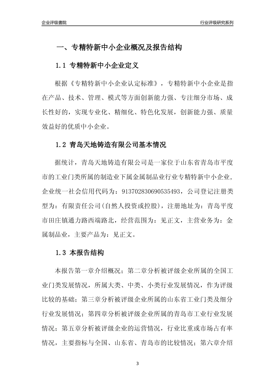 [专精特新]2022年青岛天地铸造有限公司行业竞争力评级分析报告(2023版)_第3页