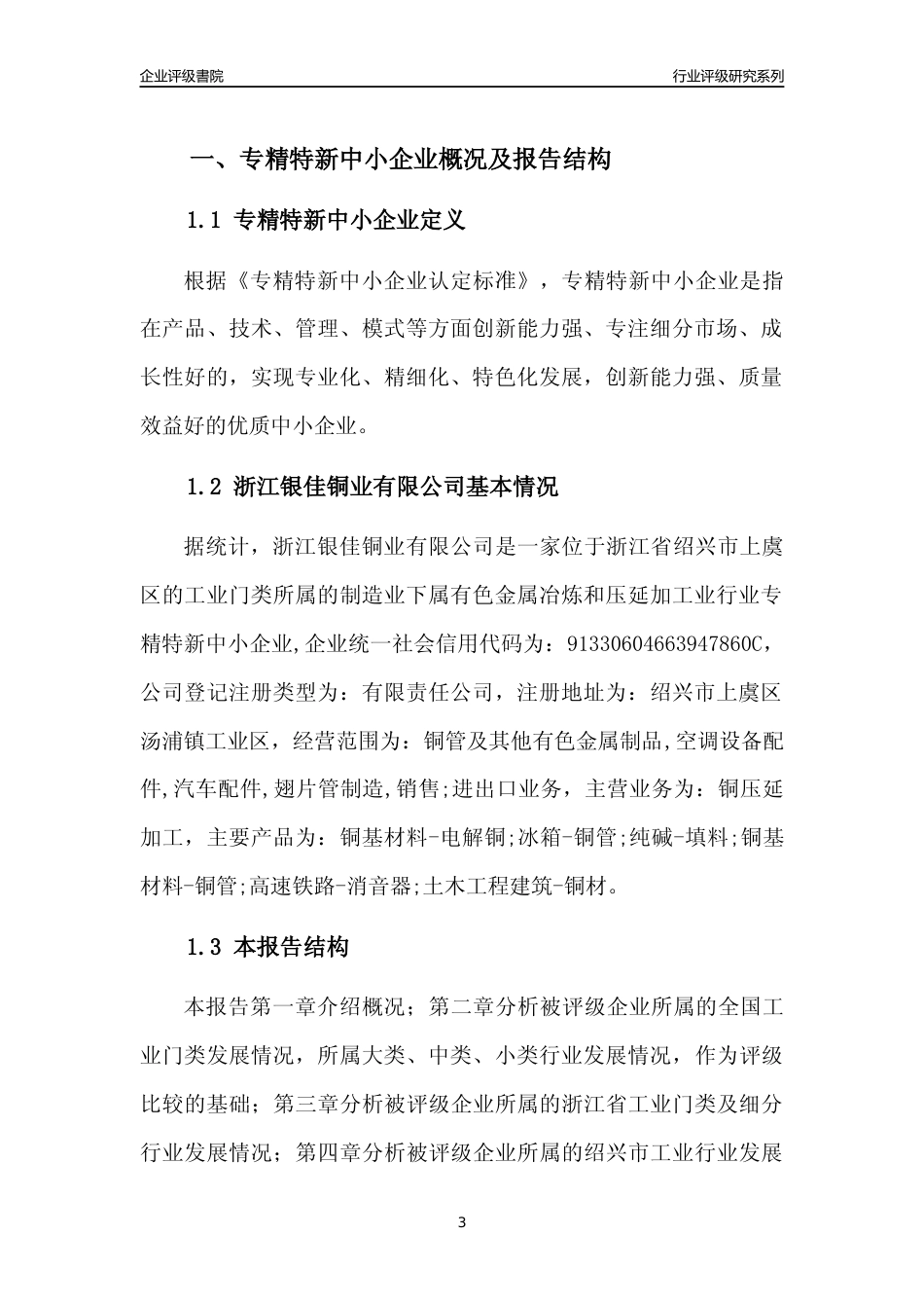 [专精特新]2022年浙江银佳铜业有限公司行业竞争力评级分析报告(2023版)_第3页