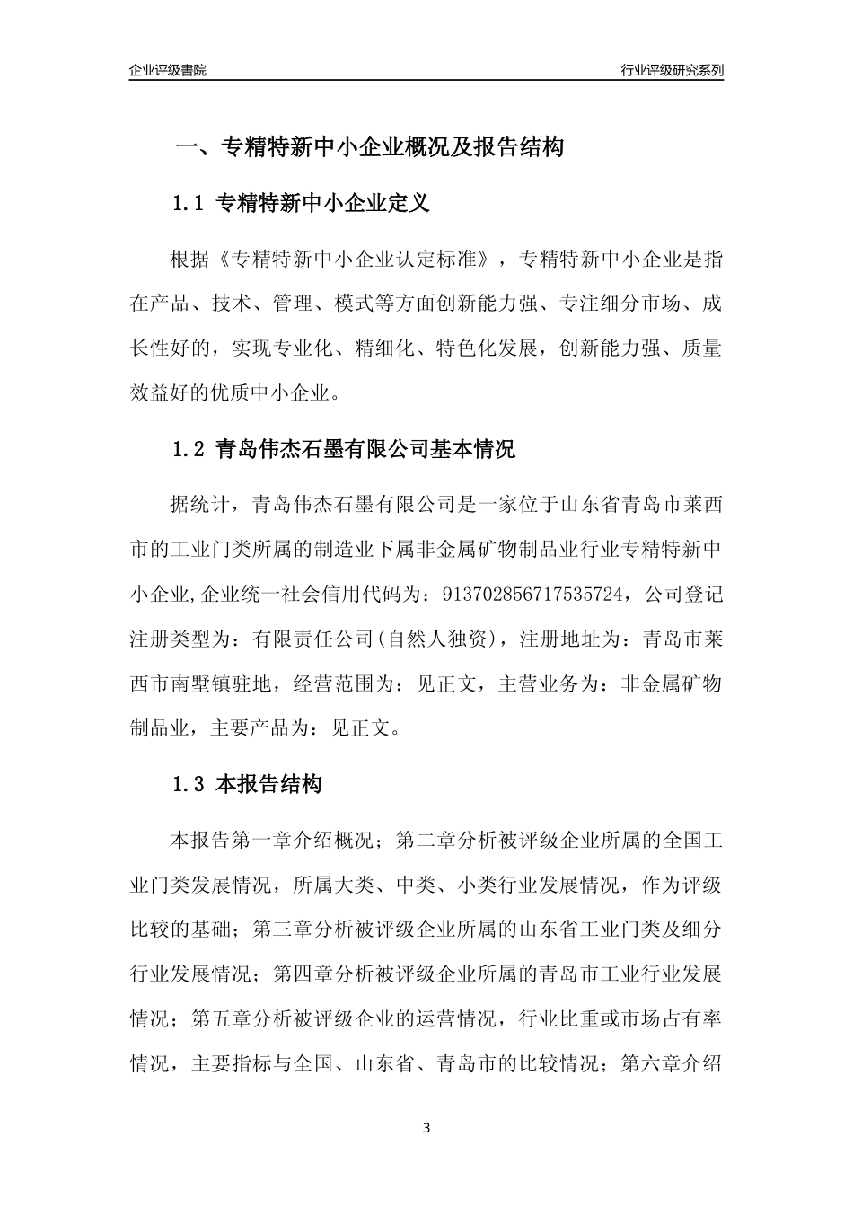 [专精特新]2022年青岛伟杰石墨有限公司行业竞争力评级分析报告(2023版)_第3页