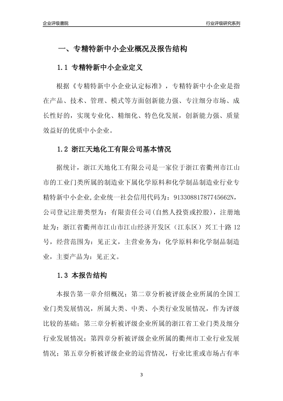 [专精特新]2022年浙江天地化工有限公司行业竞争力评级分析报告(2023版)_第3页