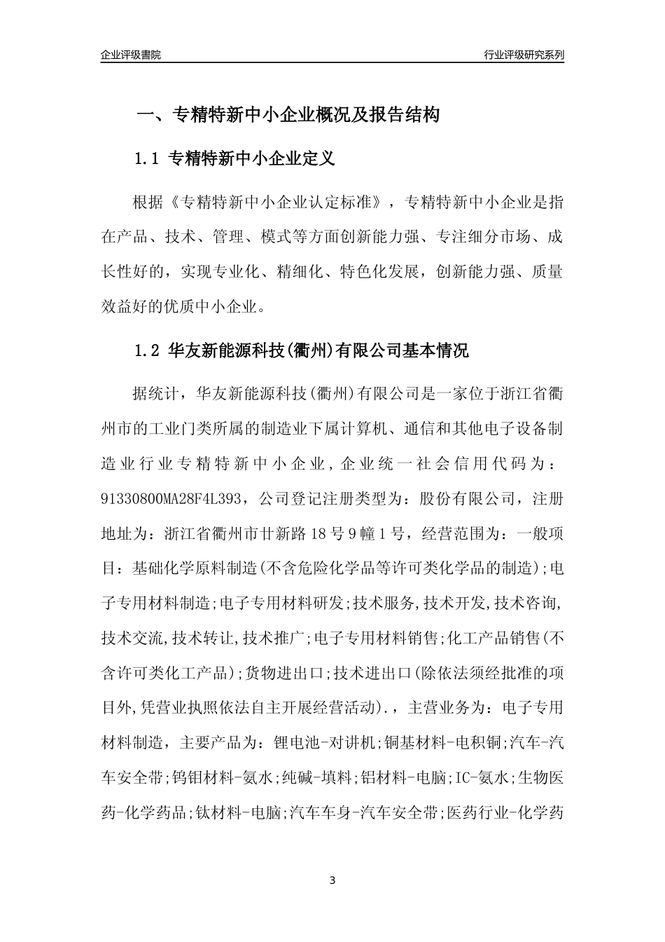 [专精特新]2022年华友新能源科技(衢州)有限公司行业竞争力评级分析报告(2023版)_第3页