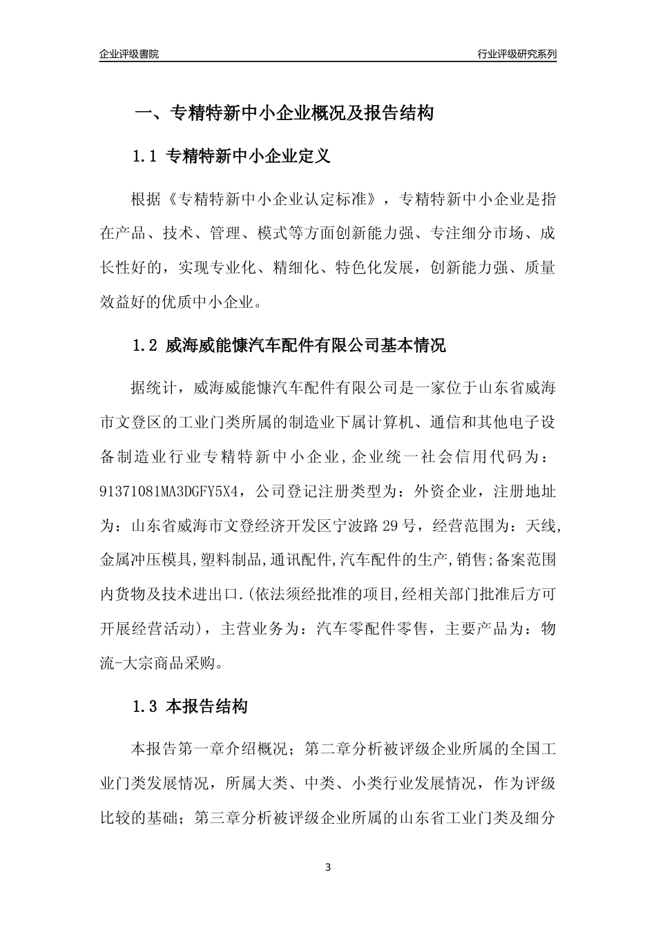 [专精特新]2022年威海威能慷汽车配件有限公司行业竞争力评级分析报告(2023版)_第3页