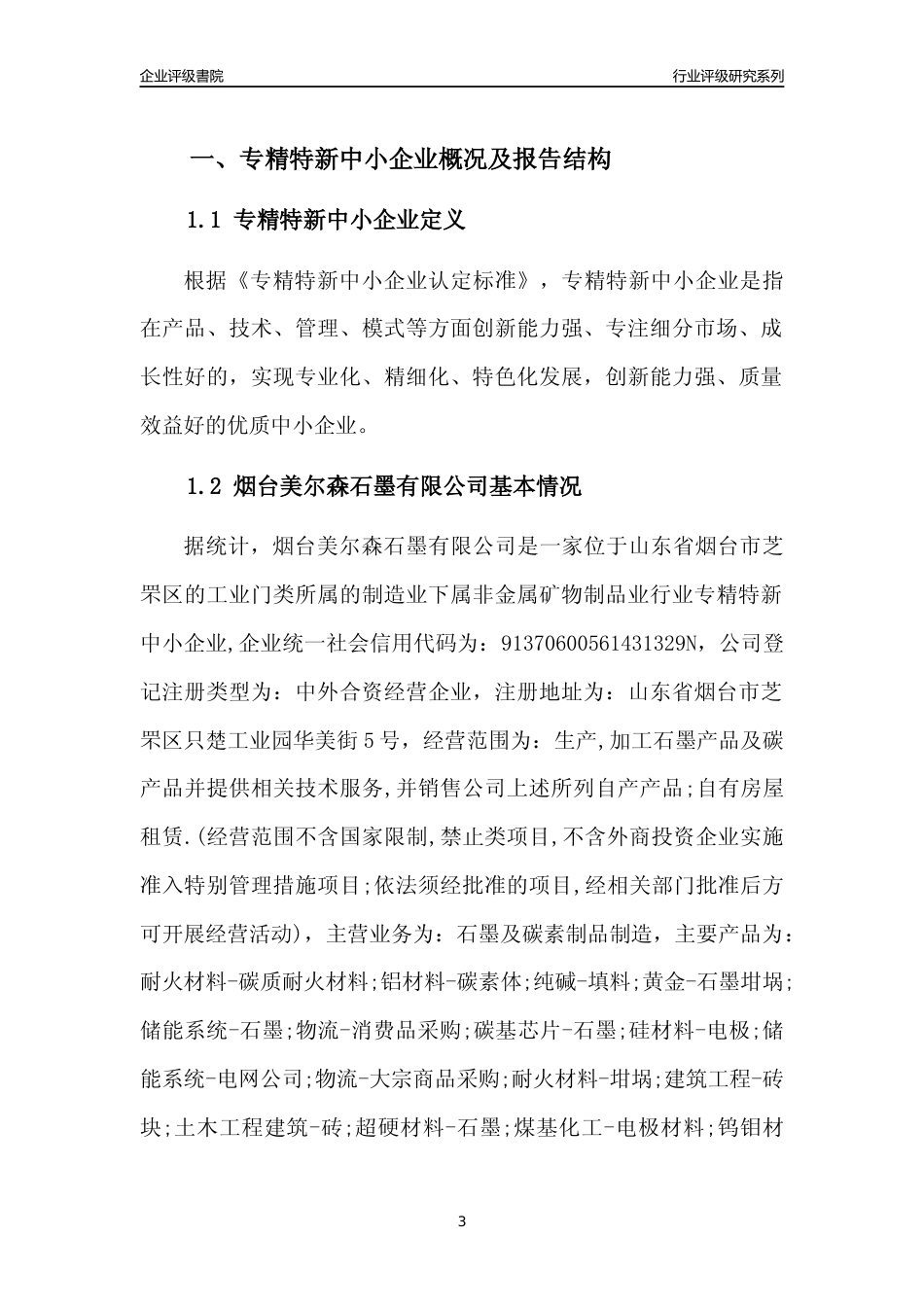 [专精特新]2022年烟台美尔森石墨有限公司行业竞争力评级分析报告(2023版)_第3页