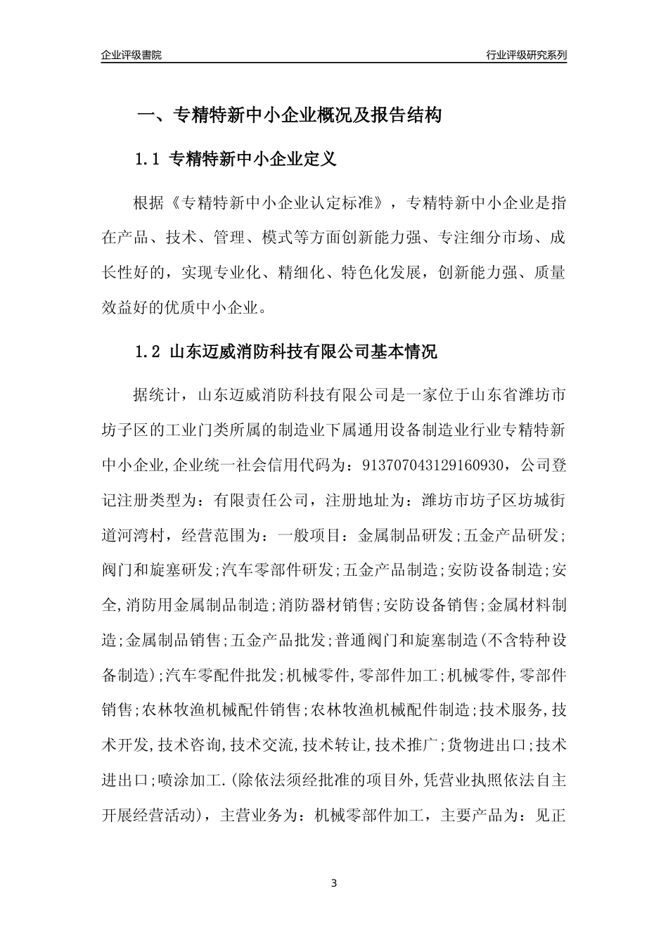 [专精特新]2022年山东迈威消防科技有限公司行业竞争力评级分析报告(2023版)_第3页