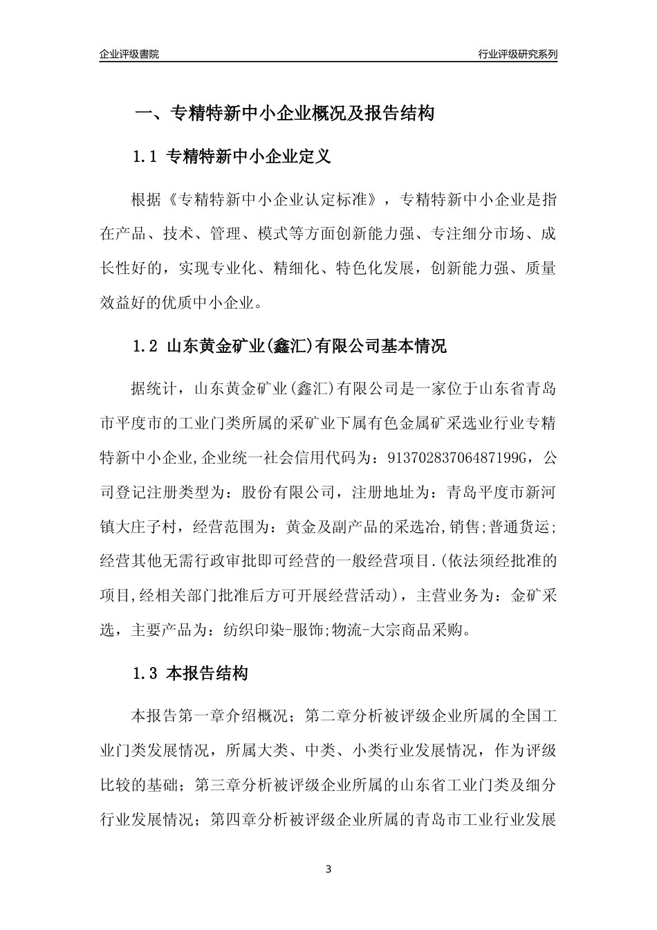 [专精特新]2022年山东黄金矿业(鑫汇)有限公司行业竞争力评级分析报告(2023版)_第3页