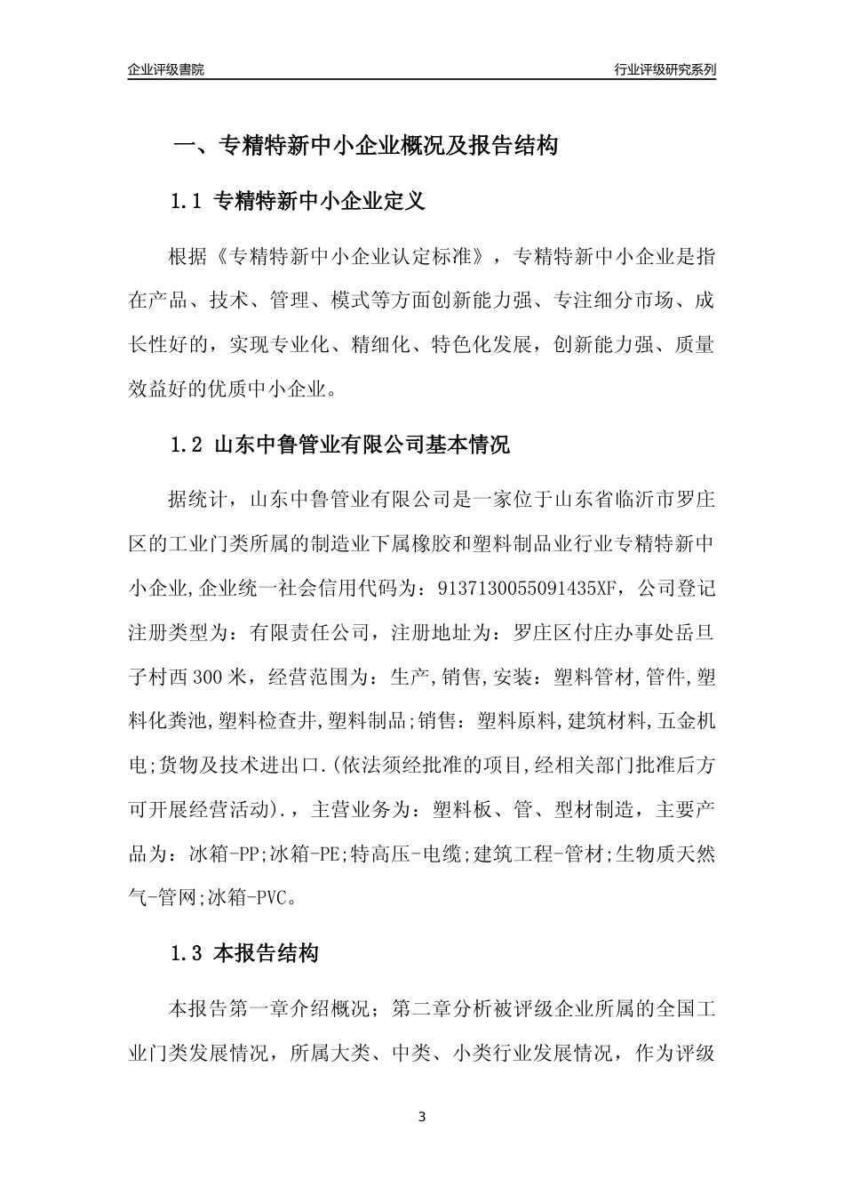 [专精特新]2022年山东中鲁管业有限公司行业竞争力评级分析报告(2023版)_第3页