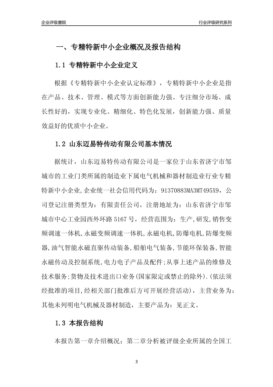 [专精特新]2022年山东迈易特传动有限公司行业竞争力评级分析报告(2023版)_第3页