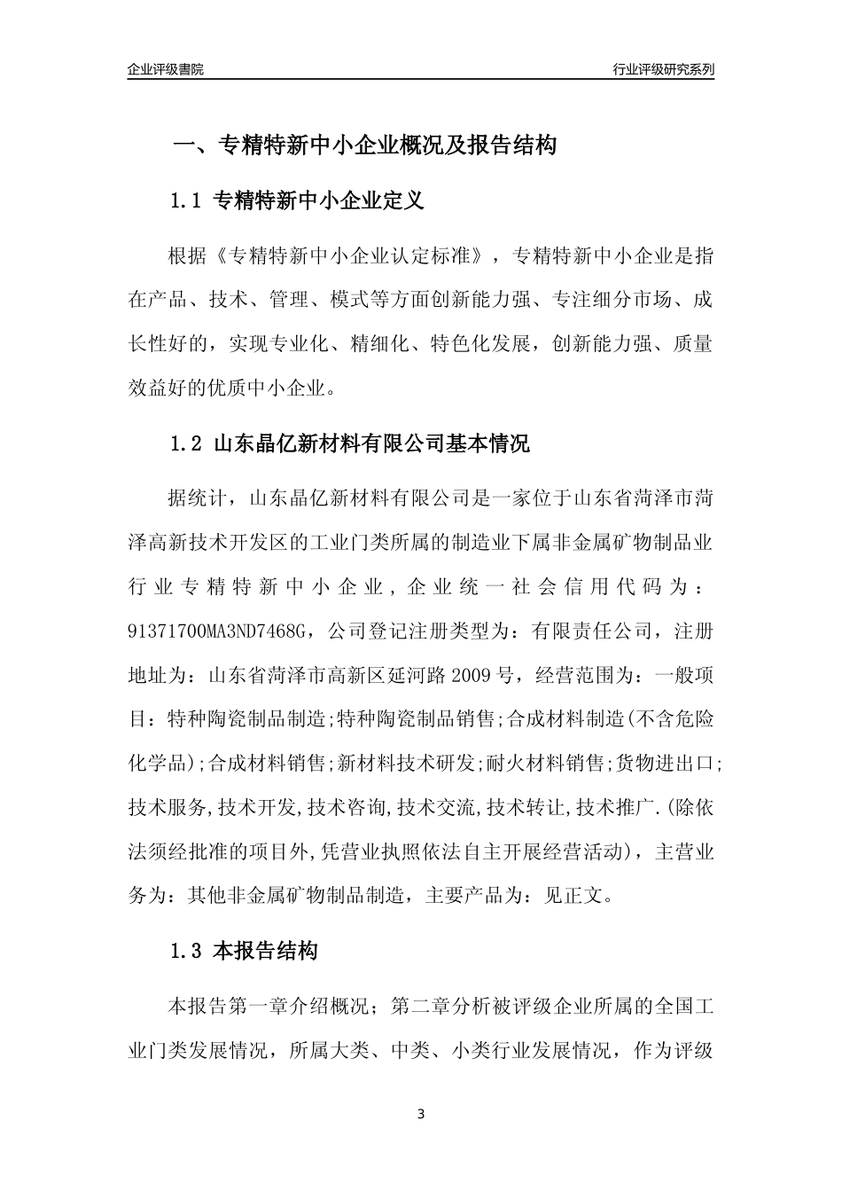 [专精特新]2022年山东晶亿新材料有限公司行业竞争力评级分析报告(2023版)_第3页