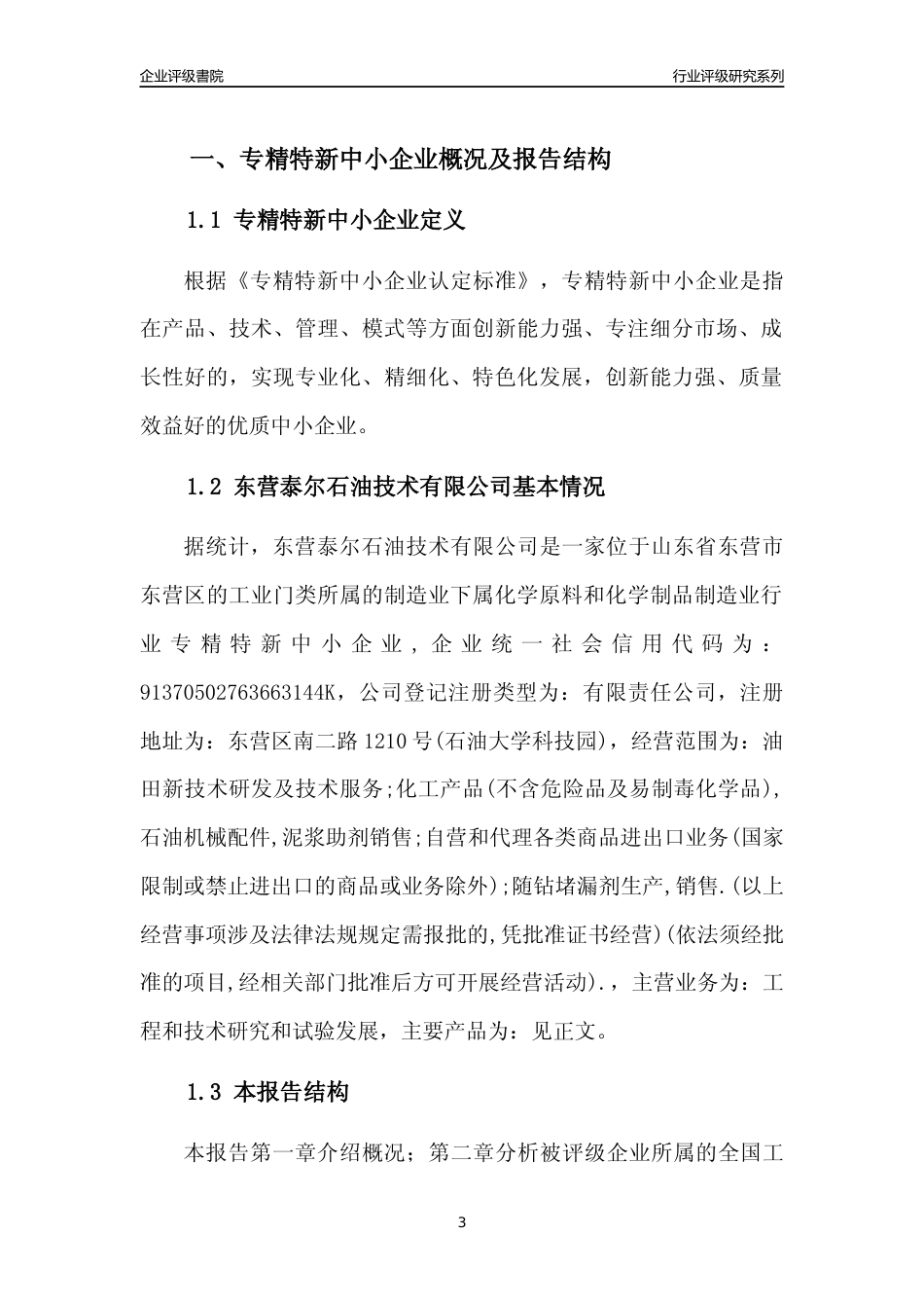 [专精特新]2022年东营泰尔石油技术有限公司行业竞争力评级分析报告(2023版)_第3页