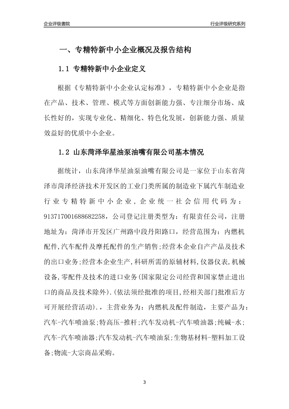 [专精特新]2022年山东菏泽华星油泵油嘴有限公司行业竞争力评级分析报告(2023版)_第3页