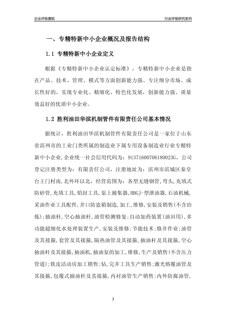 [专精特新]2022年胜利油田华滨机制管件有限责任公司行业竞争力评级分析报告(2023版)_第3页