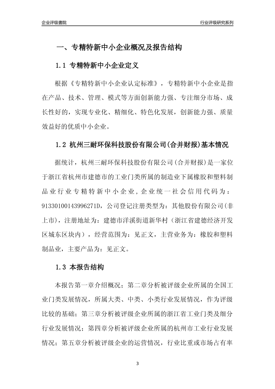 [专精特新]2022年杭州三耐环保科技股份有限公司(合并财报)行业竞争力评级分析报告(2023版)_第3页