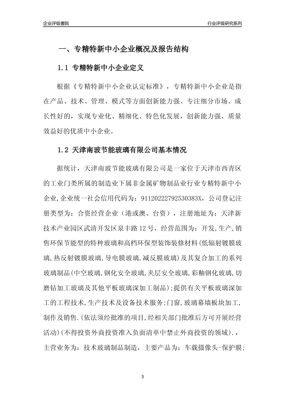 [专精特新]天津南玻节能玻璃有限公司行业竞争力评级分析报告(2023版)_第3页