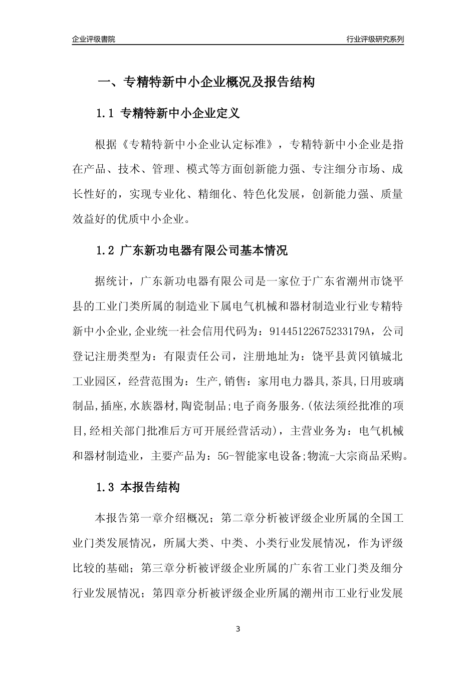 [专精特新]广东新功电器有限公司行业竞争力评级分析报告(2023版)_第3页