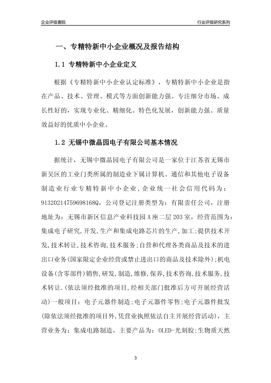 [专精特新]无锡中微晶园电子有限公司行业竞争力评级分析报告(2023版)_第3页
