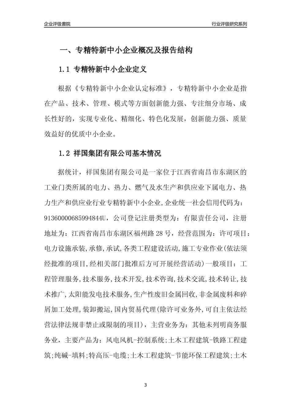 [专精特新]祥国集团有限公司行业竞争力评级分析报告(2023版)_第3页