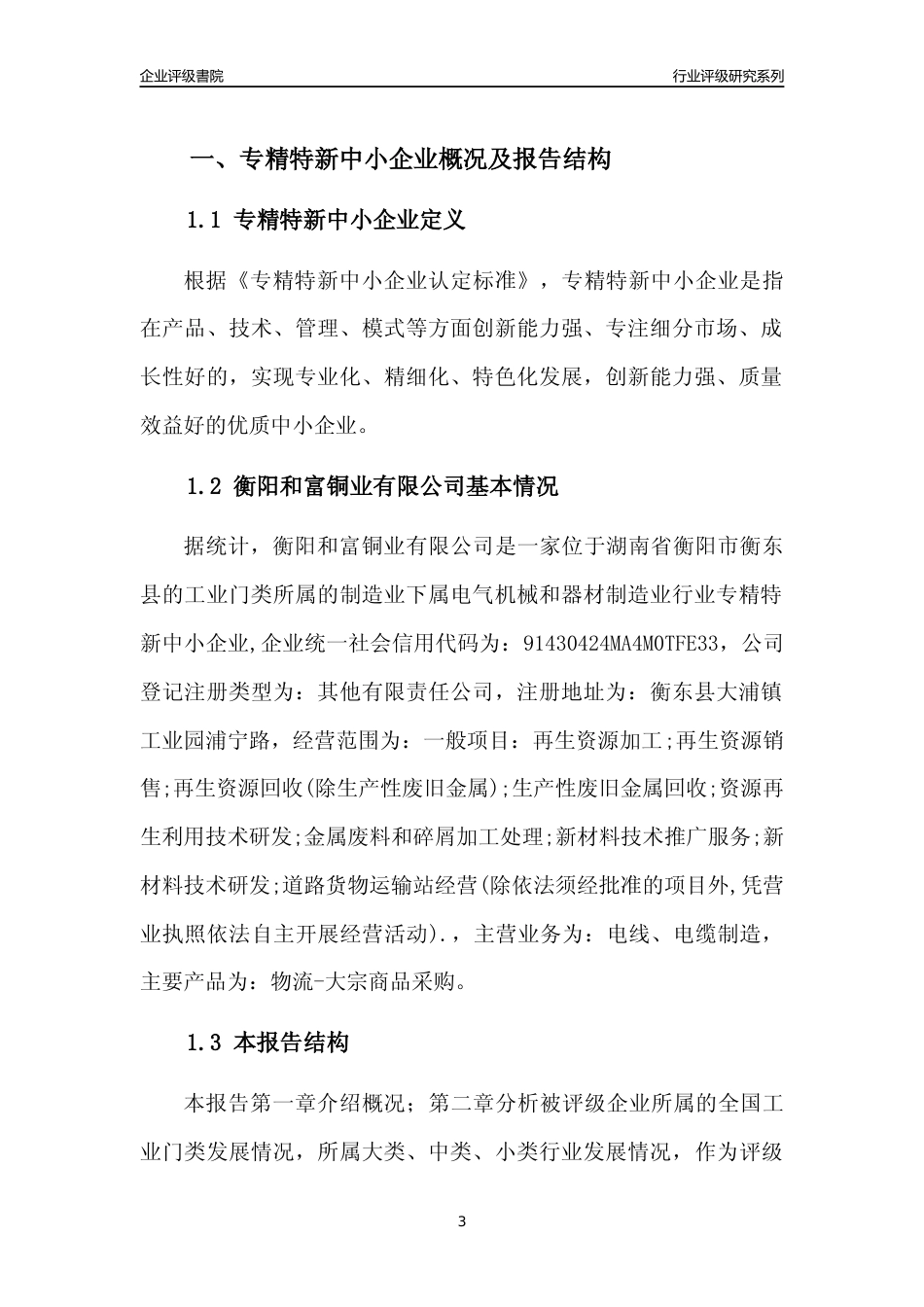[专精特新]衡阳和富铜业有限公司行业竞争力评级分析报告(2023版)_第3页