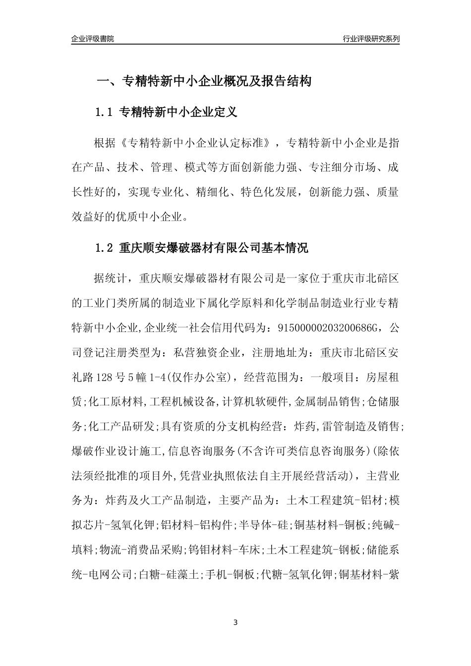 [专精特新]重庆顺安爆破器材有限公司行业竞争力评级分析报告(2023版)_第3页