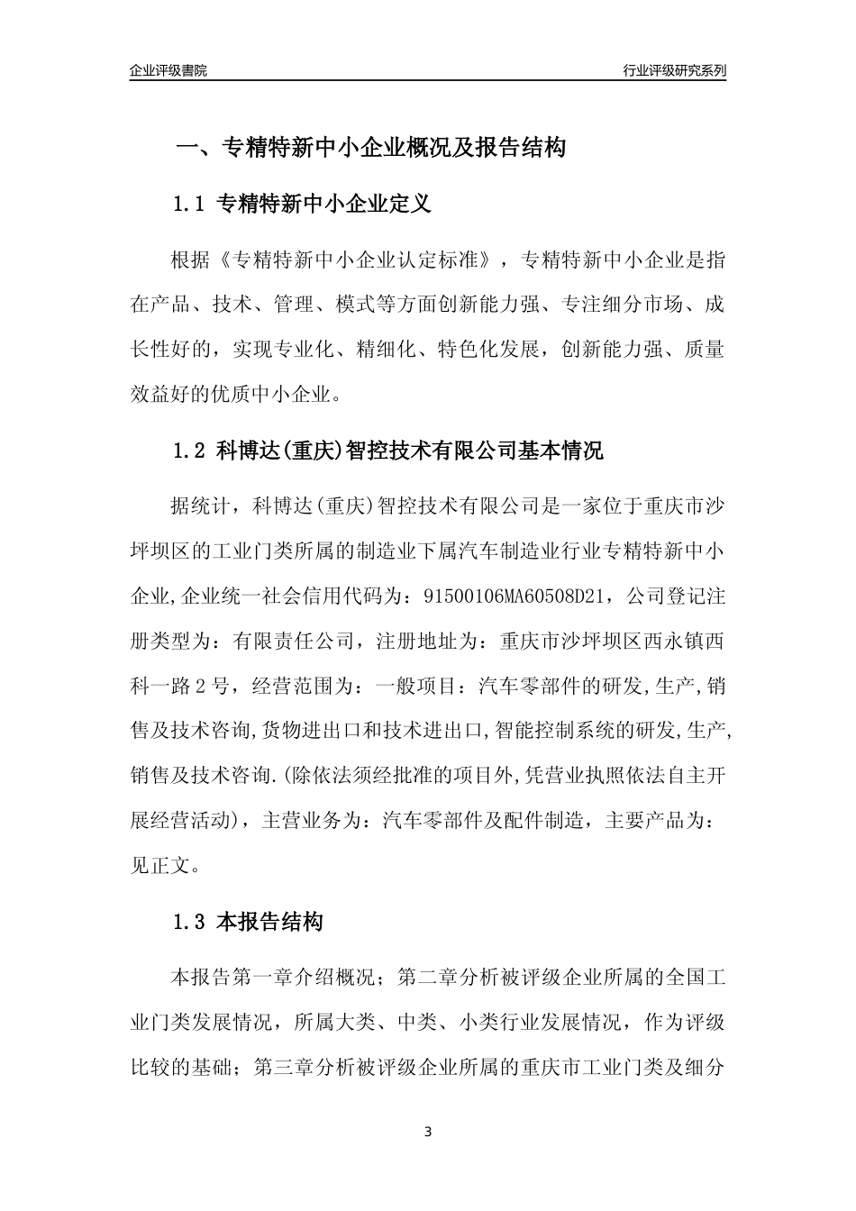 [专精特新]科博达(重庆)智控技术有限公司行业竞争力评级分析报告(2023版)_第3页