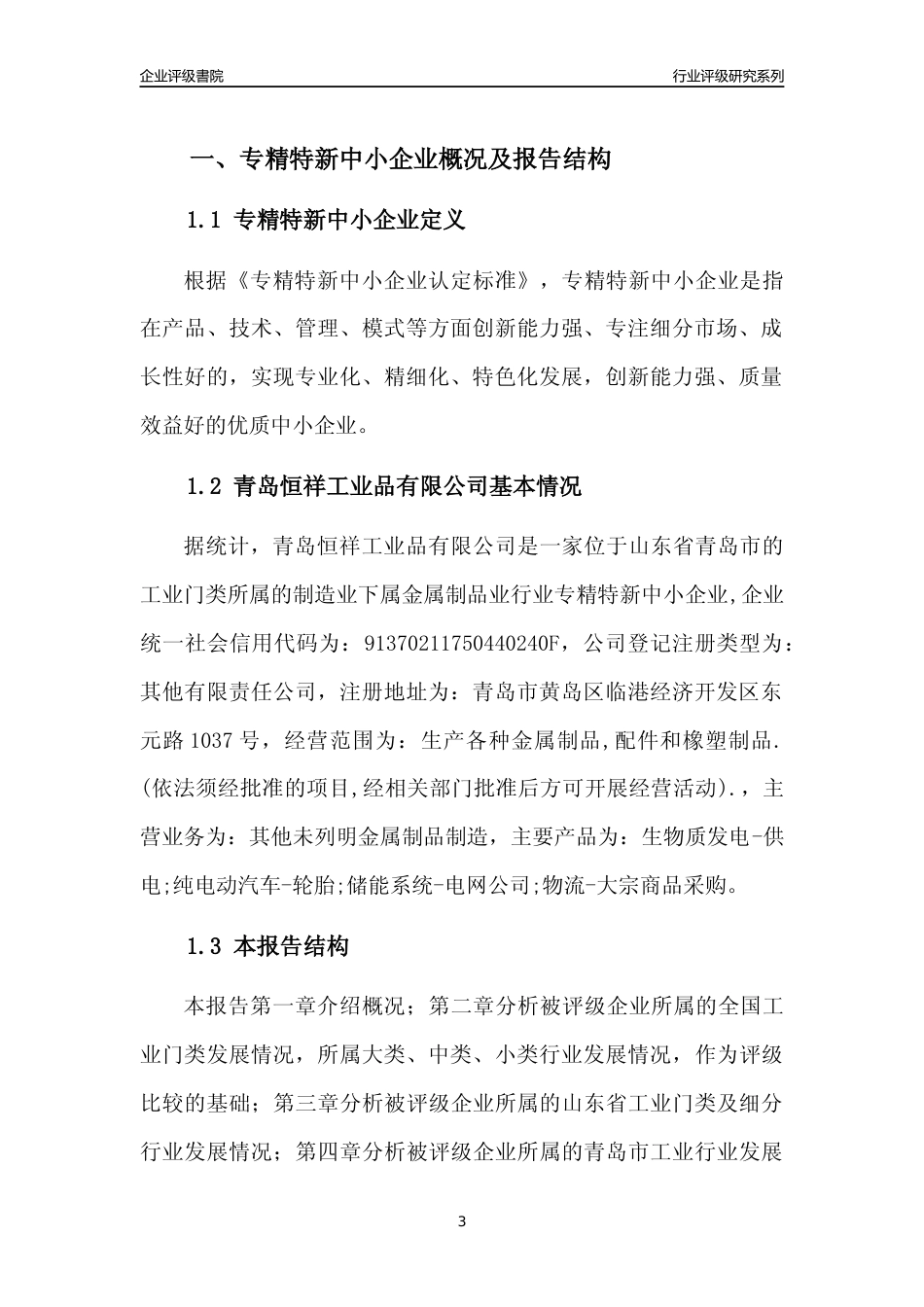 [专精特新]青岛恒祥工业品有限公司行业竞争力评级分析报告(2023版)_第3页