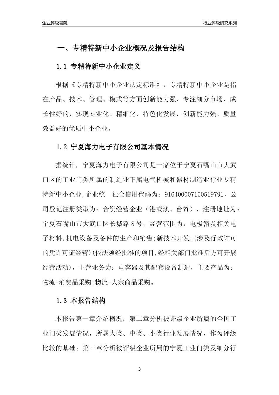 [专精特新]宁夏海力电子有限公司行业竞争力评级分析报告(2023版)_第3页