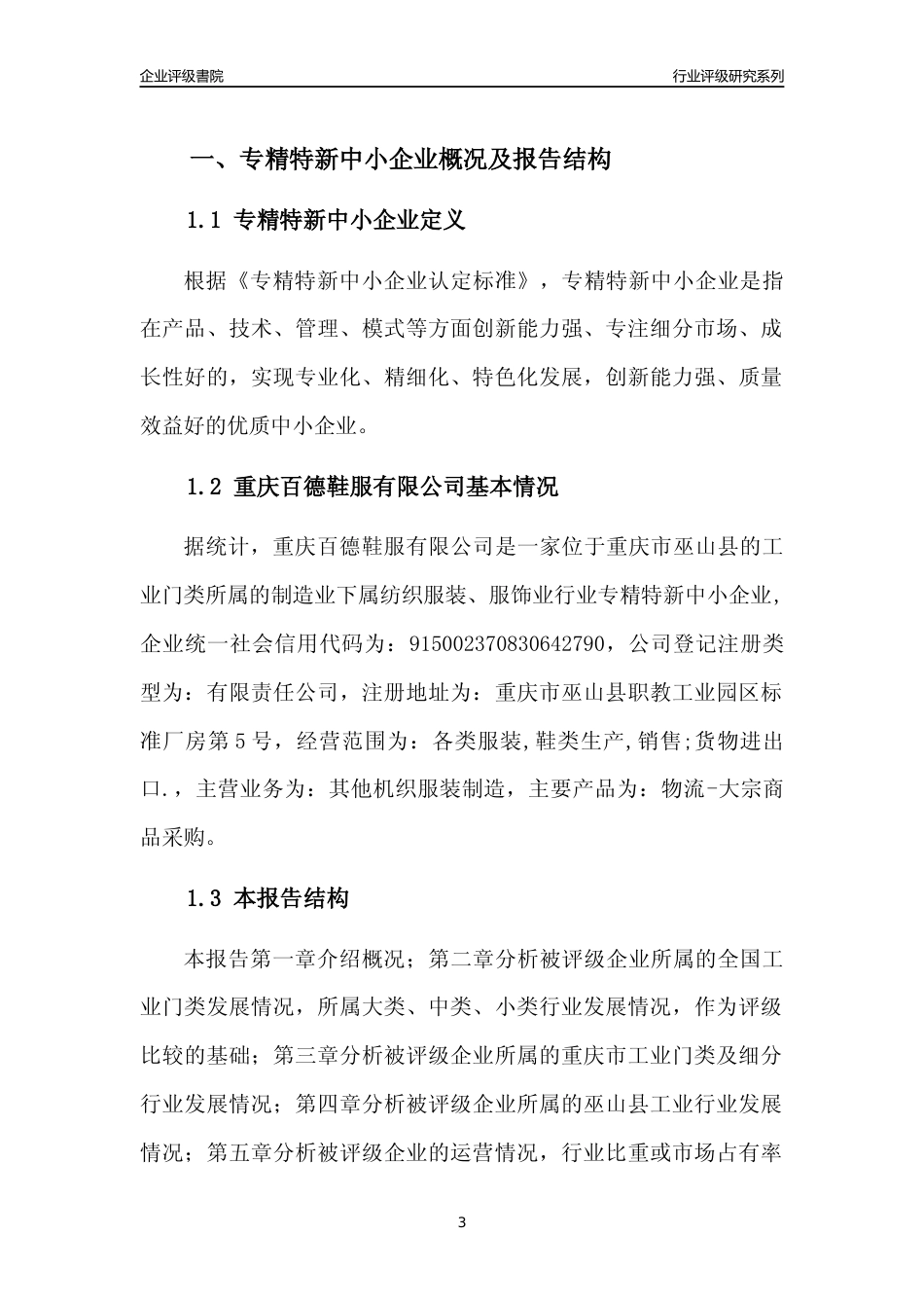 [专精特新]重庆百德鞋服有限公司行业竞争力评级分析报告(2023版)_第3页