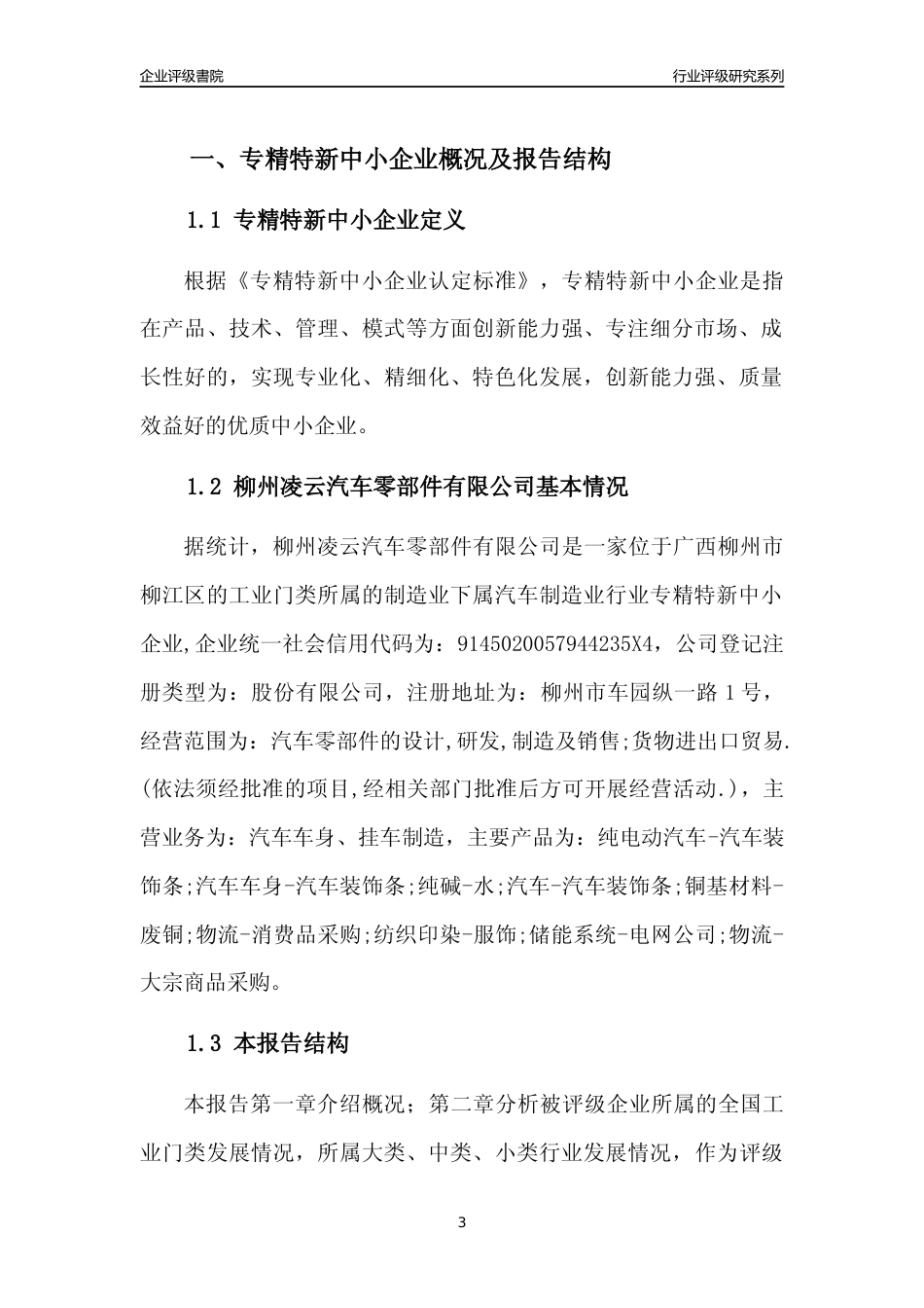 [专精特新]柳州凌云汽车零部件有限公司行业竞争力评级分析报告(2023版)_第3页