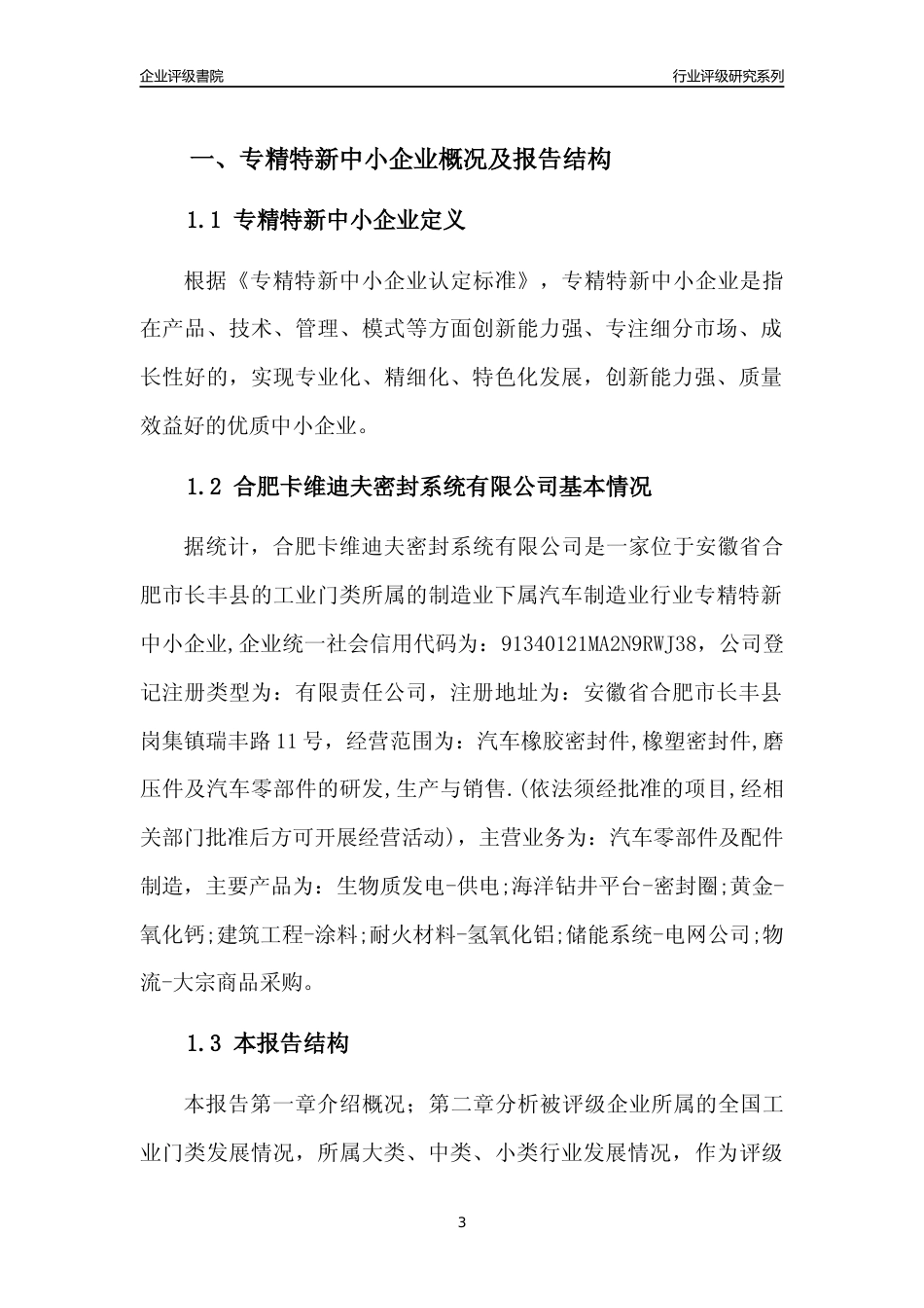 [专精特新]合肥卡维迪夫密封系统有限公司行业竞争力评级分析报告(2023版)_第3页