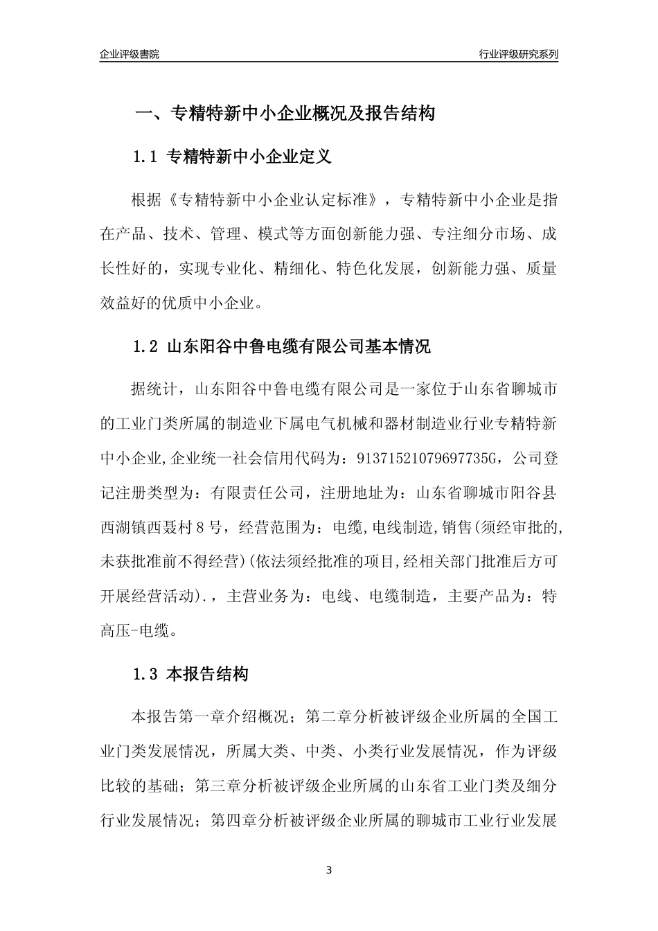 [专精特新]山东阳谷中鲁电缆有限公司行业竞争力评级分析报告(2023版)_第3页