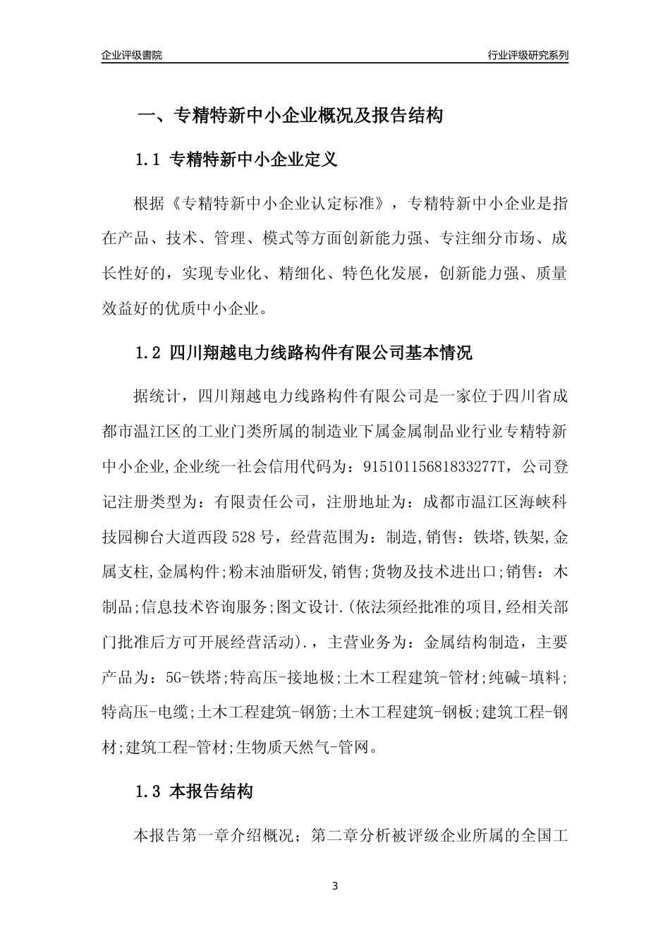 [专精特新]四川翔越电力线路构件有限公司行业竞争力评级分析报告(2023版)_第3页
