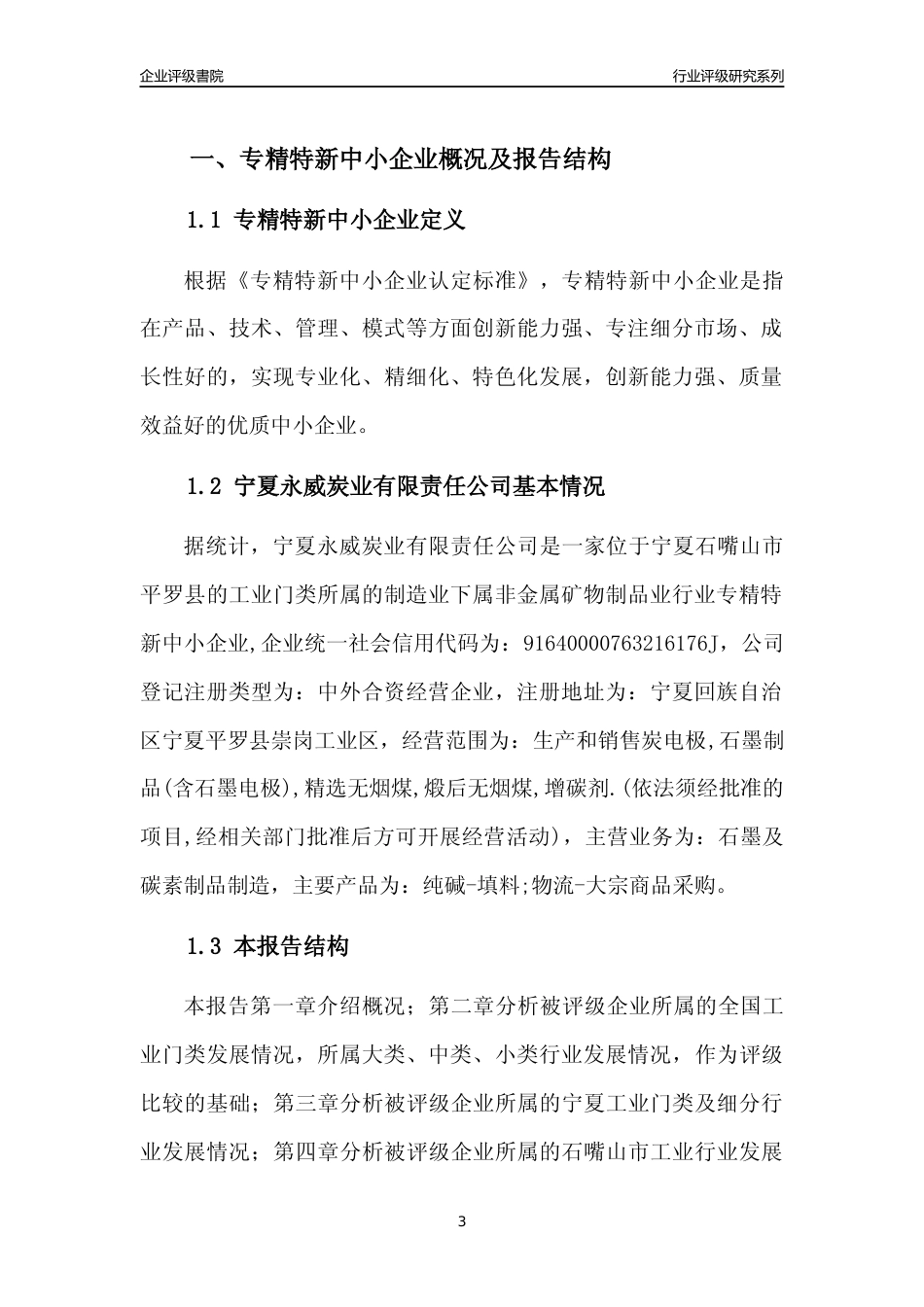 [专精特新]宁夏永威炭业有限责任公司行业竞争力评级分析报告(2023版)_第3页
