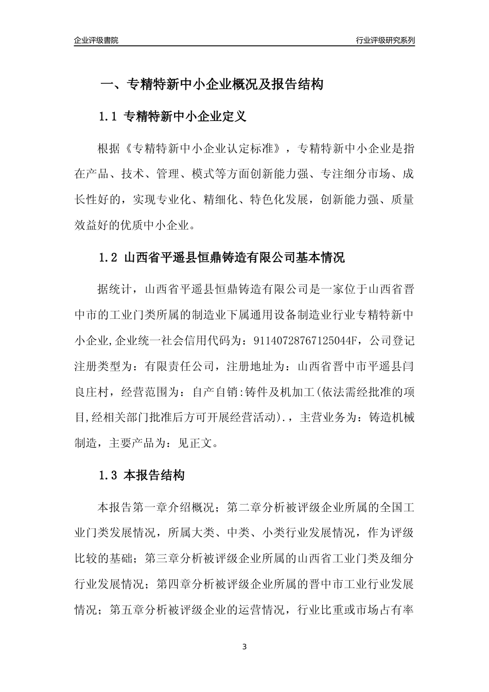 [专精特新]山西省平遥县恒鼎铸造有限公司行业竞争力评级分析报告(2023版)_第3页