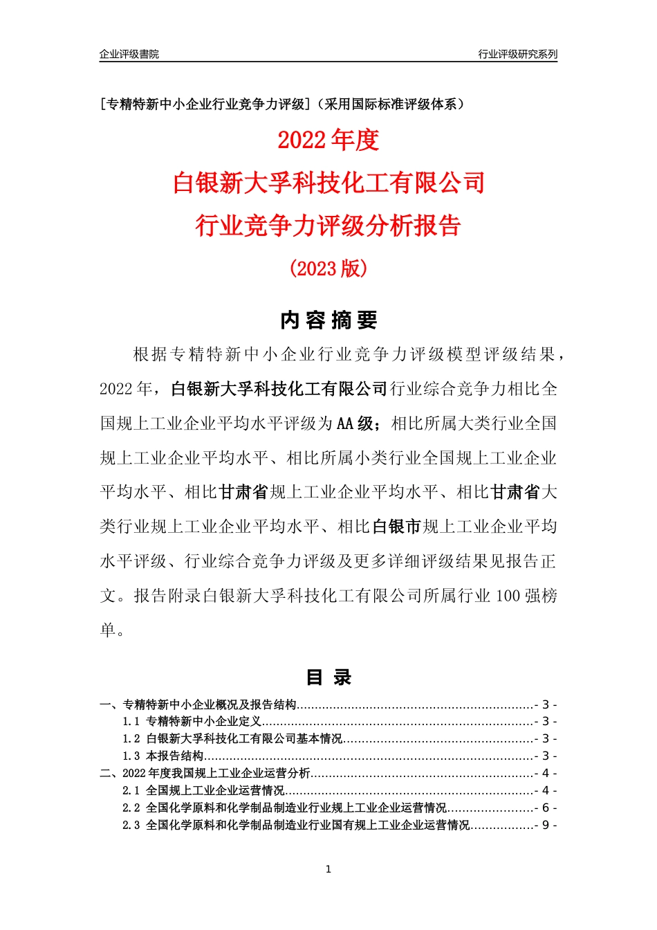 [专精特新]白银新大孚科技化工有限公司行业竞争力评级分析报告(2023版)_第1页