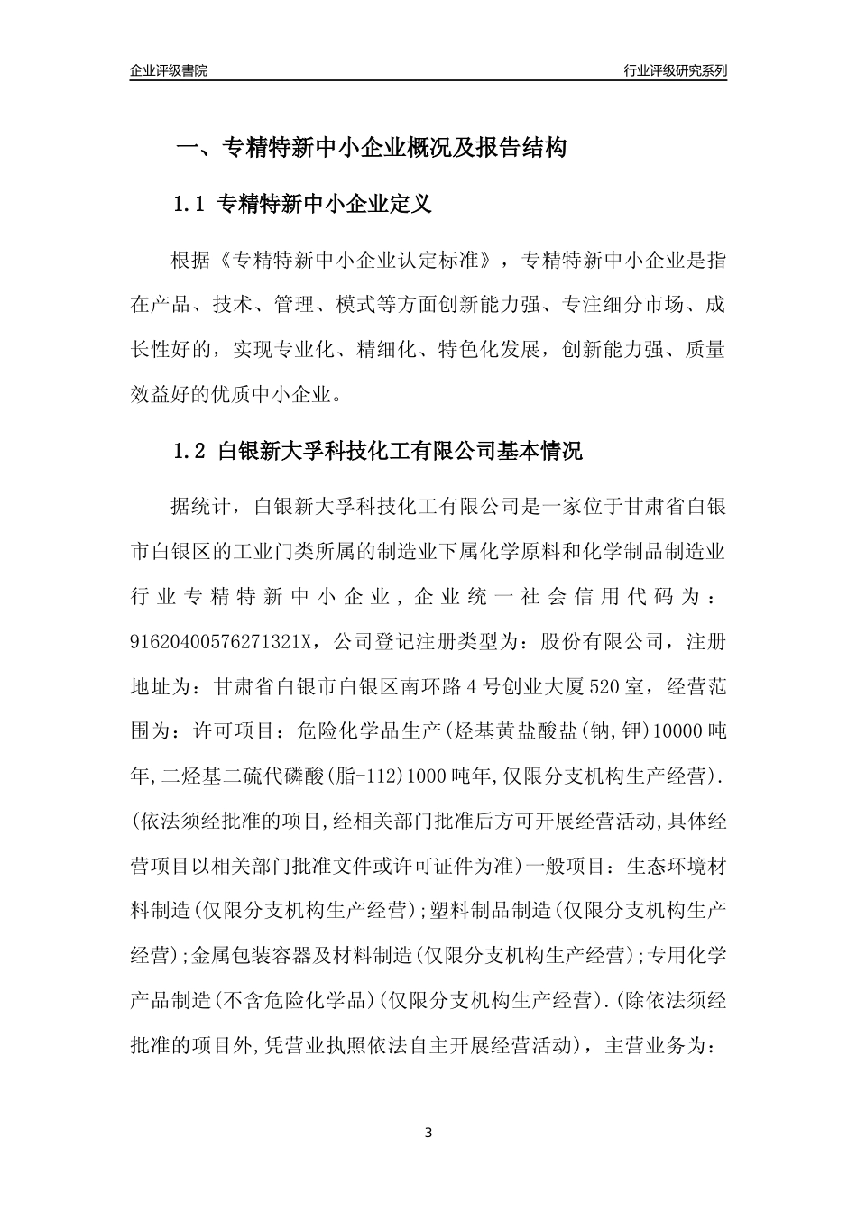 [专精特新]白银新大孚科技化工有限公司行业竞争力评级分析报告(2023版)_第3页